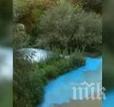 русенски лом птече синьо търсят боядисва водите