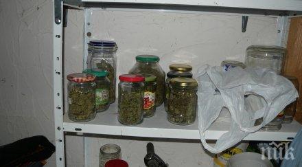 бургас удариха дилъри крили трева буркани туршии