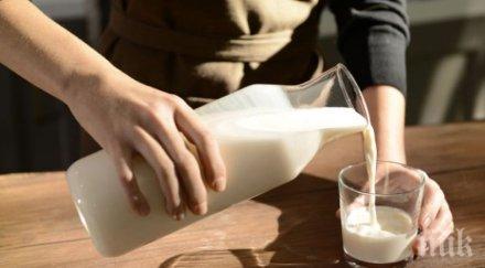 учените чаша мляко лягане върши чудеса