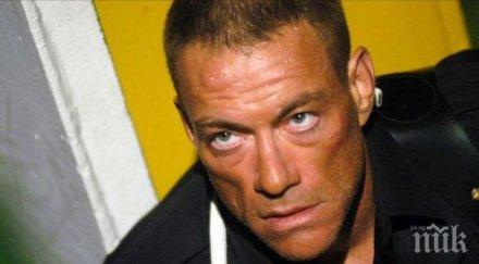 сагата жан клод ван дам бедстващото чихуахуа кич