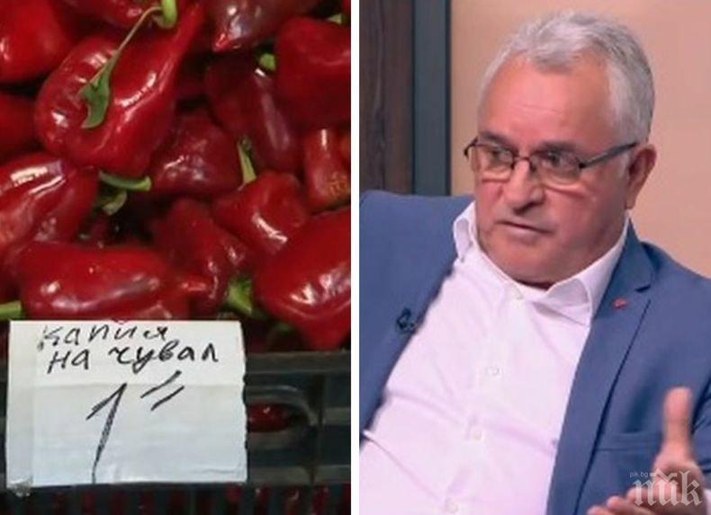 Земеделски производител с остри думи: Аграрната ни политика е грешна