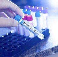 Словакия започва масово тестване на населението за коронавирус 
