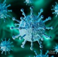 Рекорд в Румъния: Новите случаи на заразени са 4848