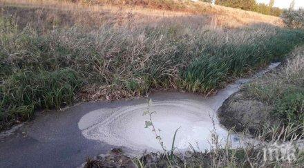 фабрика олио замърсила река провадийска