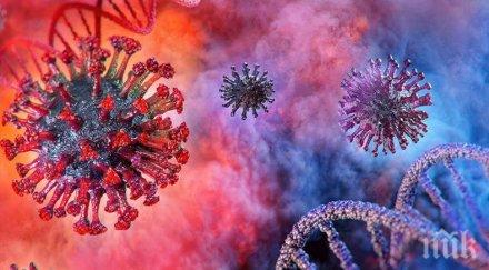 властите ирландия въвеждат карантина борба втората вълна коронавируса