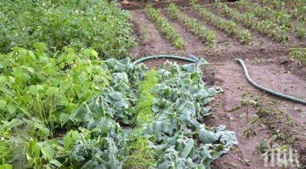 уеб базирана платформа проследява движението продуктите растителна защита производителя крайния потребител