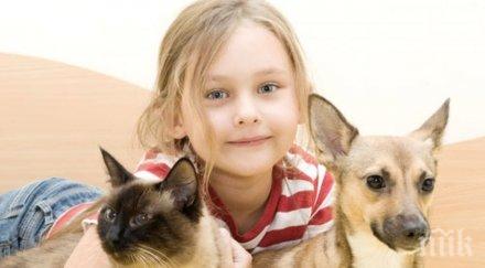 идеалната рецепта здрави кости децата