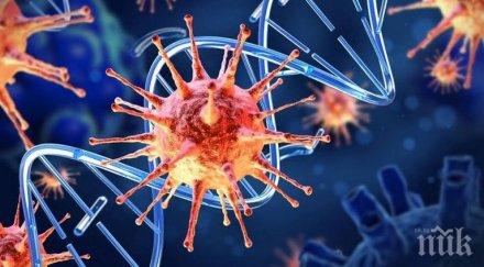 правителството израел утвърди поетапен план излизане карантината