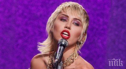 голям късмет кучето майли сайръс оживя токов удар