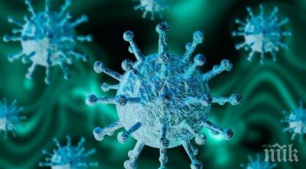 covid удари врачанския театър отмениха всички представления