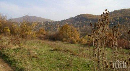 пациент санаториум велинград изгуби гората