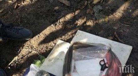 полицаи провалиха наркосделка пловдив спипаха почти кило половина амфетамини