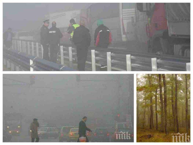 ОКТОМВРИ СЕ ОЗЪБИ: Новата седмица започва със студ и мъгли - хубавото е, че няма да вали (КАРТА)