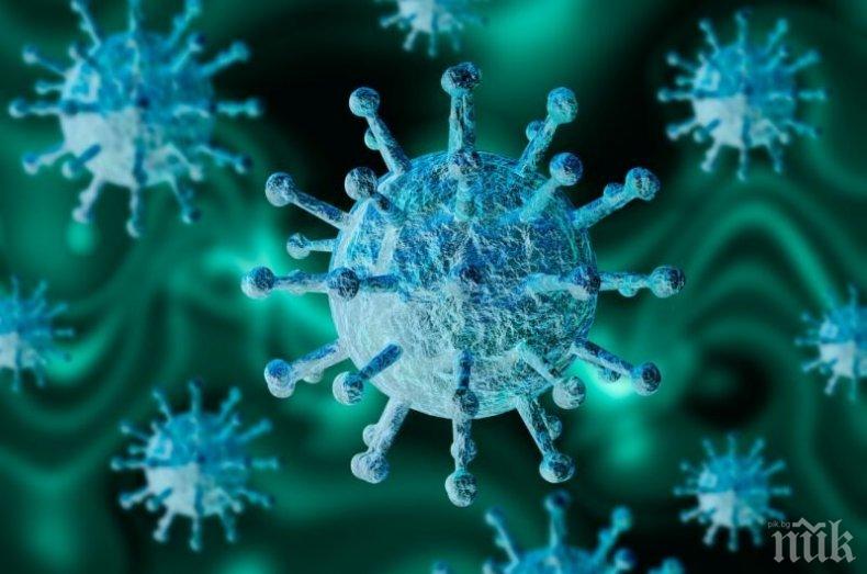 ПРОБИВ: Учени откриха слабото място на коронавируса