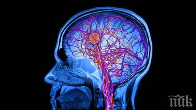 СЕНЗАЦИЯ: Учени откриха нов орган в центъра на главата 