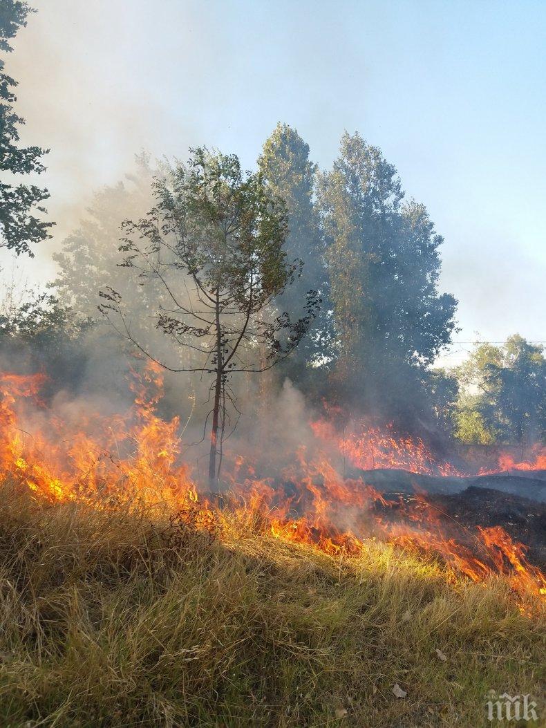 ОГНЕНА СТИХИЯ: Голям пожар бушува край Карлово, летят екипи с огнеборци