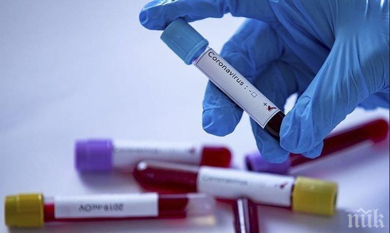 Новата вълна на коронавирус помете шведските надежди за стаден имунитет
