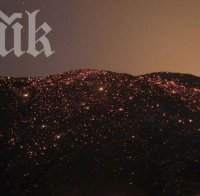 Пламна пожар на военния полигон край Шабла в присъствието на Плевнелиев 