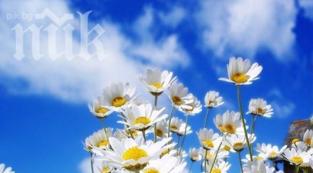 слънцето отново радва