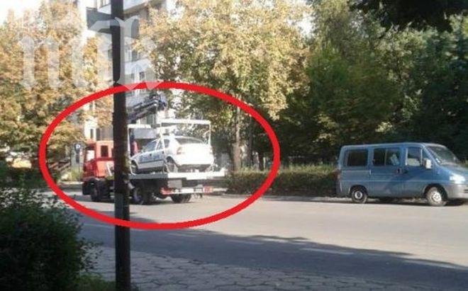 Куриоз! Паяк вдигна патрулка в Кюстендил