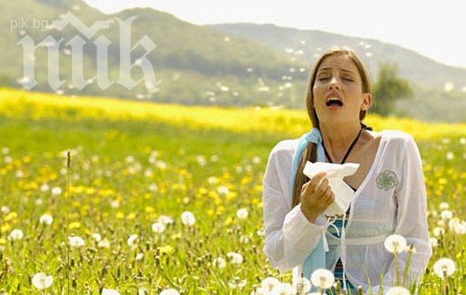 Вятър и слънце в понеделник