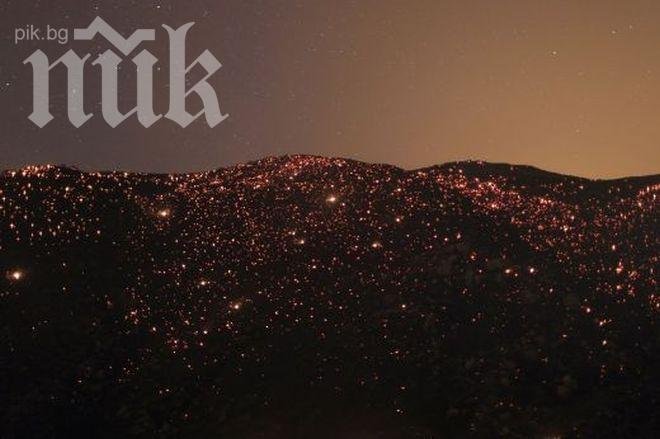 Пламна пожар на военния полигон край Шабла в присъствието на Плевнелиев 