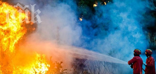 Горски пожари пак обзеха Португалия 