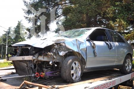 Два трупа на пътя през денонощието