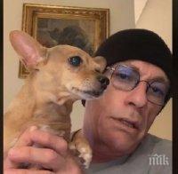 Ван Дам благодари на България за спасяването на чихуахуато Рая