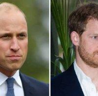 Нови слухове за напрежение между принцовете Уилям и Хари