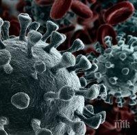 В Ирландия влязоха в сила новите ограничителни мерки заради коронавируса