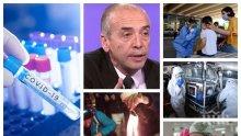 ИВА НИКОЛОВА: За шизофренията на мангъровците и маниакалните фейсбук безделници, която убива наред като COVID-19