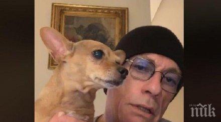 бабх спря дейността незаконен развъдник родено кучето рая заинтригувало ван дам снимки