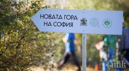 500 дръвчета бъдат засадени проекта новата гора софия