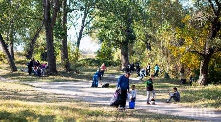 чистят зарибяват пъстърва река въча кричим