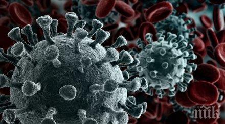 ирландия влязоха сила новите ограничителни мерки заради коронавируса