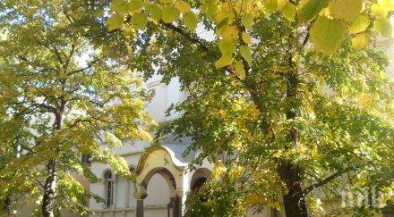 затвориха врачанската митрополия заради заразен covid неин служител