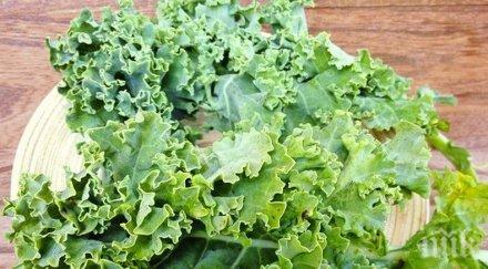 салата кейл суперхрана студените месеци