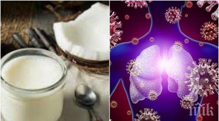ново кокосовото масло убива коронавируса