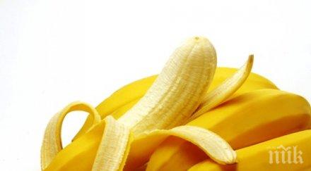 любопитен психологически експеримент банан дава важен урок живота