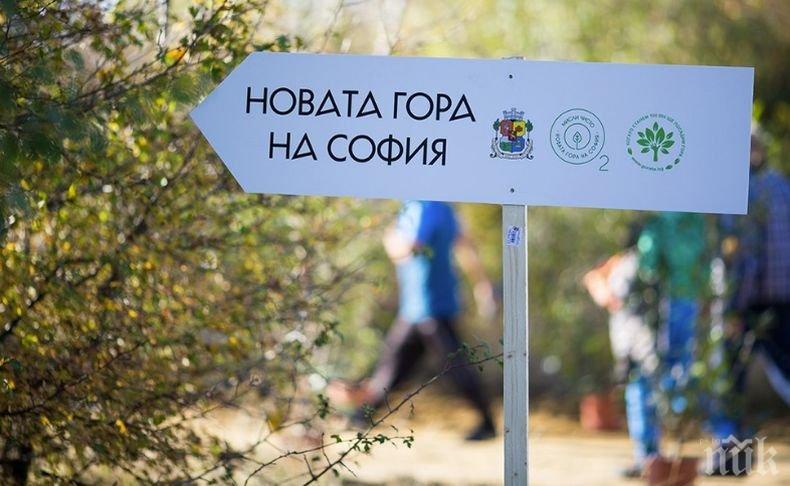 Нови 21 500 дръвчета ще бъдат засадени по проекта Новата гора на София