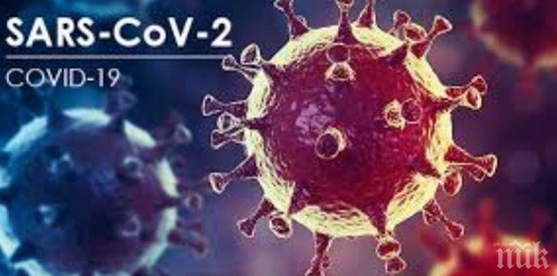 Заразените с коронавируса в Бразилия достигнаха 5 298 772