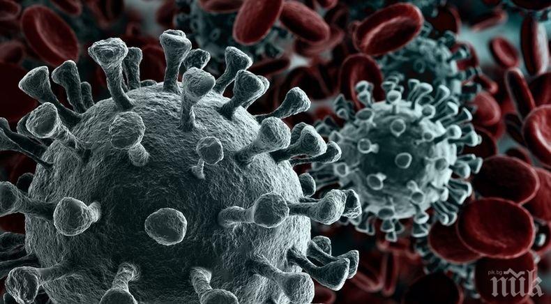 В Ирландия влязоха в сила новите ограничителни мерки заради коронавируса