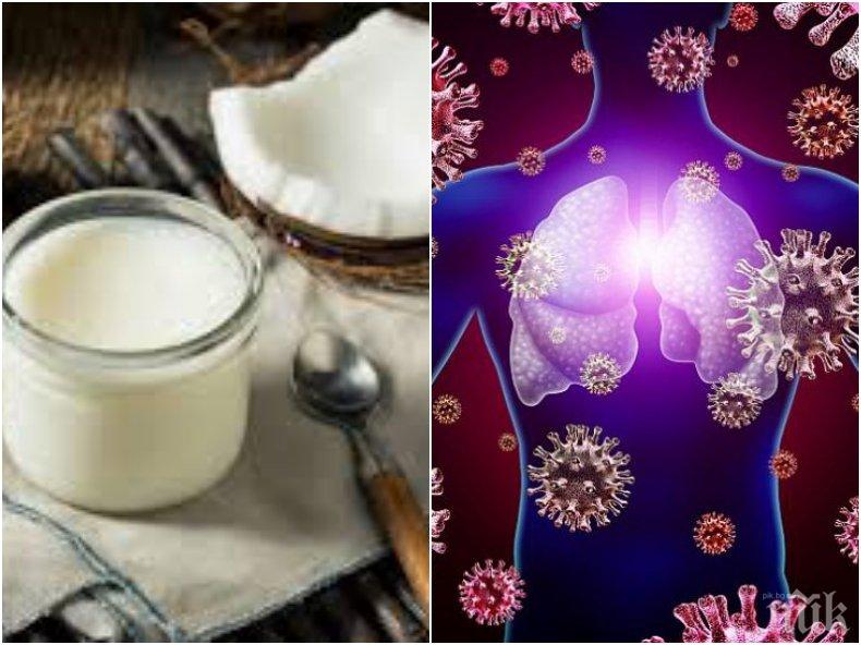 НОВО 20: Кокосовото масло убива коронавируса?