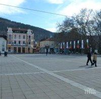 Премахват опасни дървета в Кюстендил