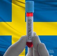 Швеция постави рекорд по броя на заразените за 24 часа