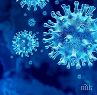 Община Ямбол отменя церемонията за Деня на народните будители заради COVID-19