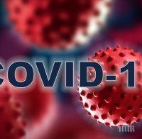 Гърция регистрира нови 725 случая на коронавирус и 7 жертви