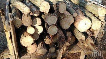 заловиха бракониери дървесина каруци коли тервел варна