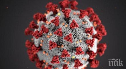 испания страшно 000 новите случаи коронавирус уикенда